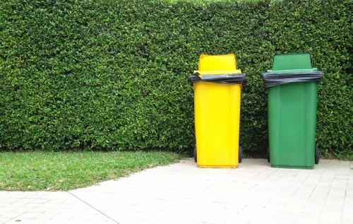 Affordable skip rental options